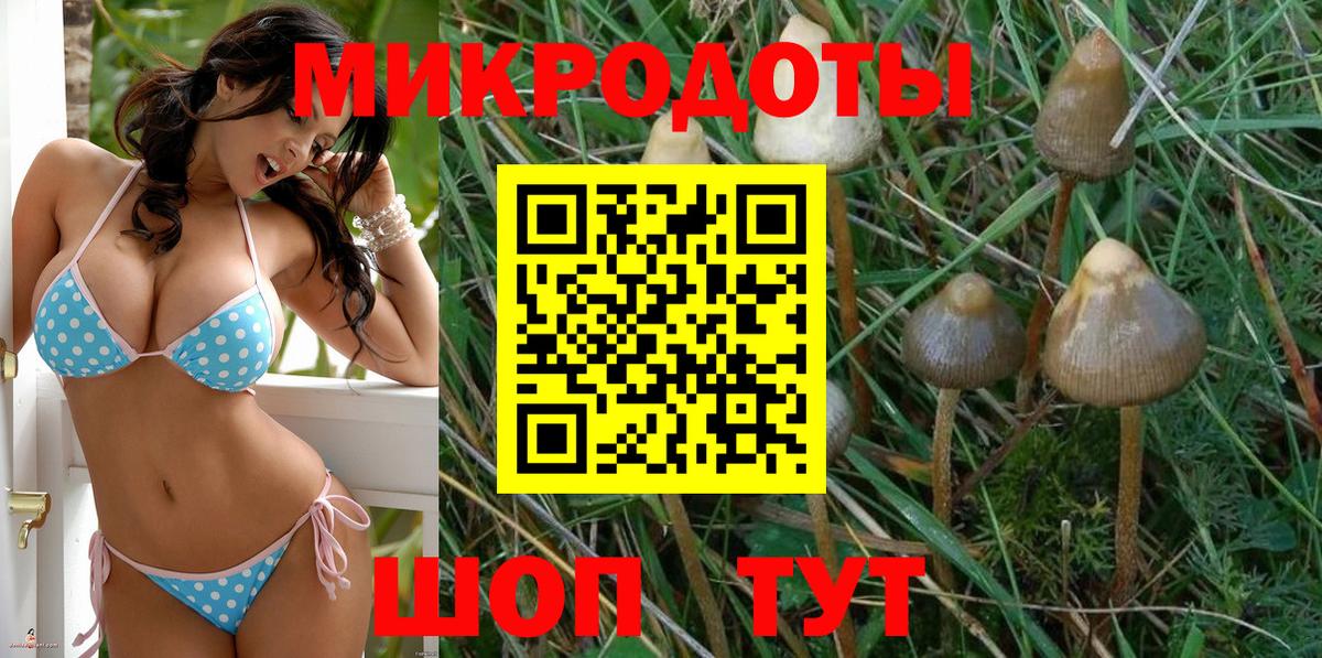 Астрахань  Галлюциногенные грибы Psilocybe  магазин    Вход с VPN 