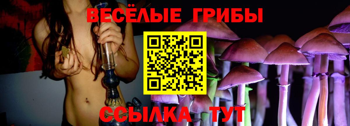Галлюциногенные грибы MAGIC MUSHROOMS Астрахань