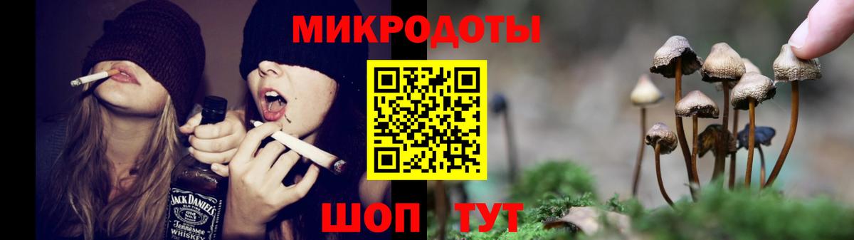 Галлюциногенные грибы Астрахань